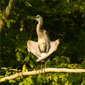 Larry Barnes Photography, central and northwest Arkansas, Reflections Image 34